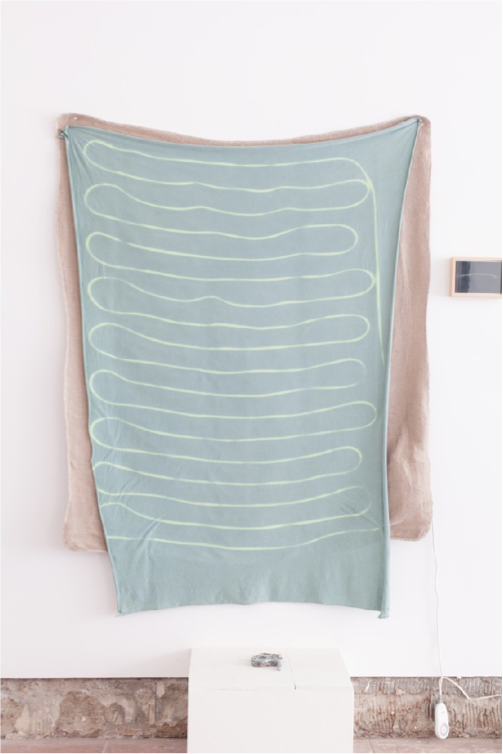 Maia Ruth Lee
Don’t Look Back 2013
Electric blanket, thermochromatic blanket with ceramic snake
61 x 49 Inches
8 x 4 x 0.5 inches