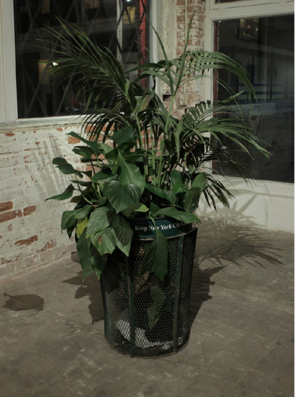 Jeremy Anderegg
New York Clean 2013
Steel, tree